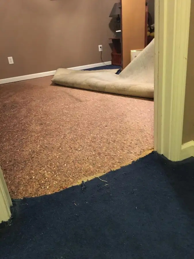 Carpet pad removal revealing water damage during Water Mitigation Services in Floris