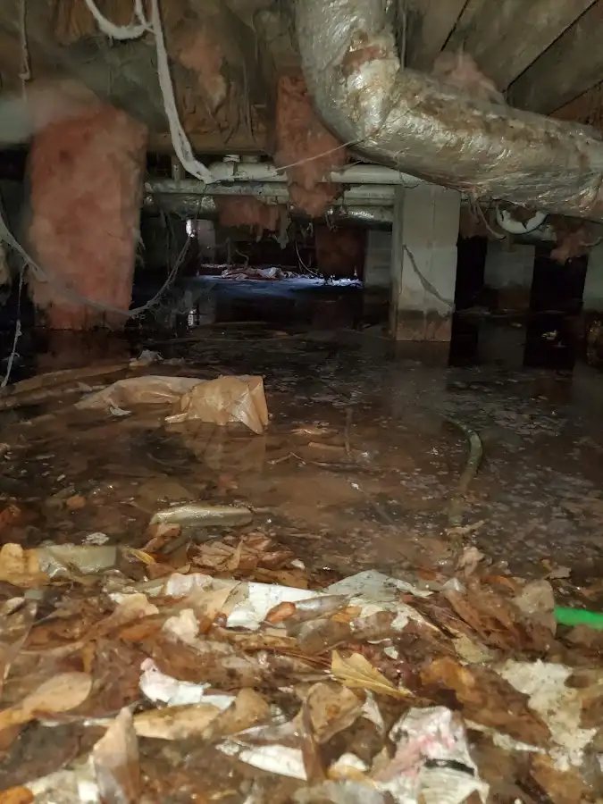 Crawl space flood assessment for Leak Detection & Repair in Floris