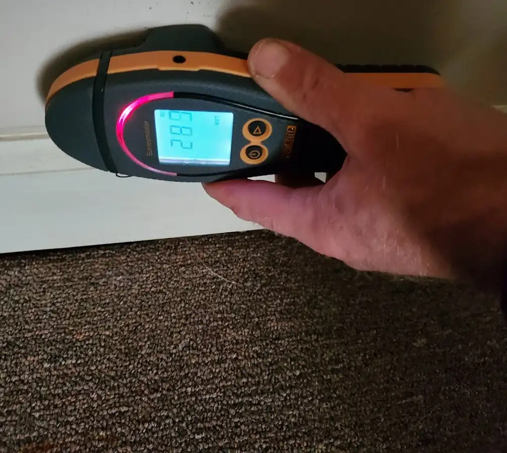 Moisture detection at baseboard during Mold Inspection & Testing in Floris